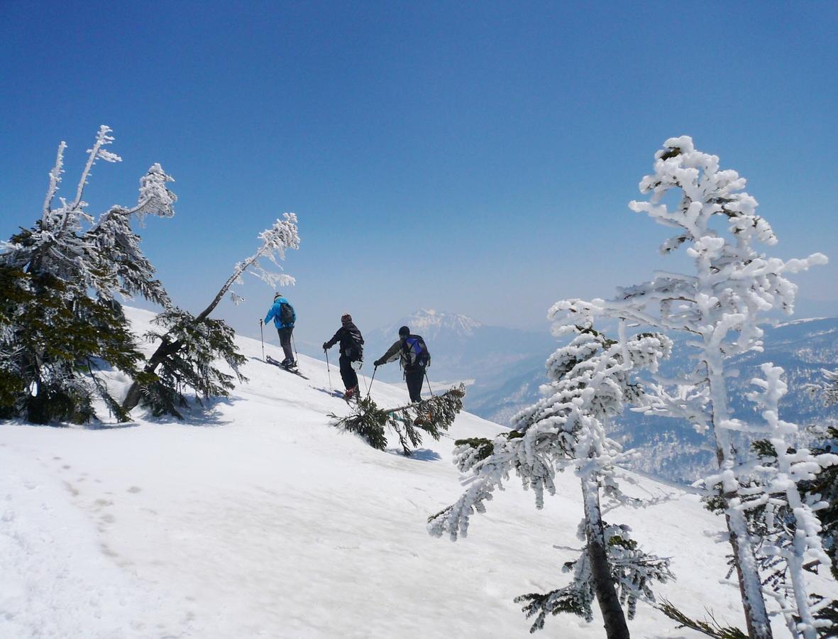Pension Fushuki Nikko Exteriér fotografie